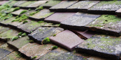 Wendy roof repair costs